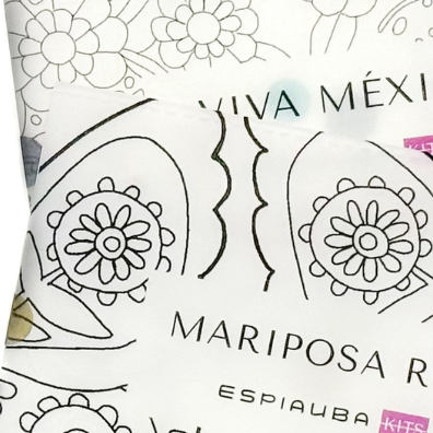 Repuesto Plancha KIT