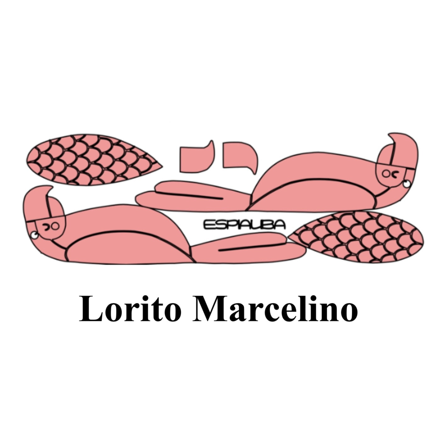 KIT LORITO MARCELINO